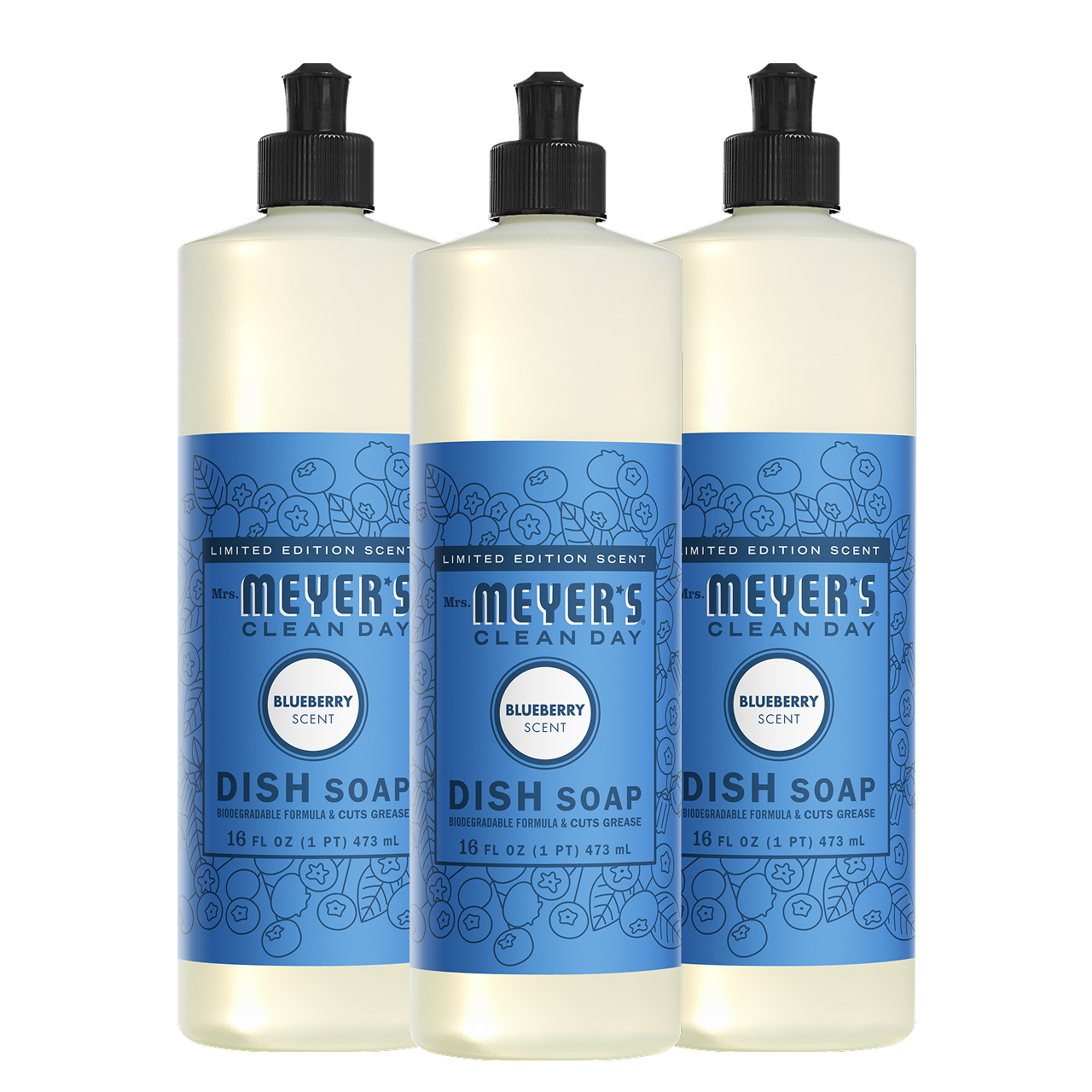 Blueberry Dish Soap 3 - count Bundle - with Kitchen Cleanup