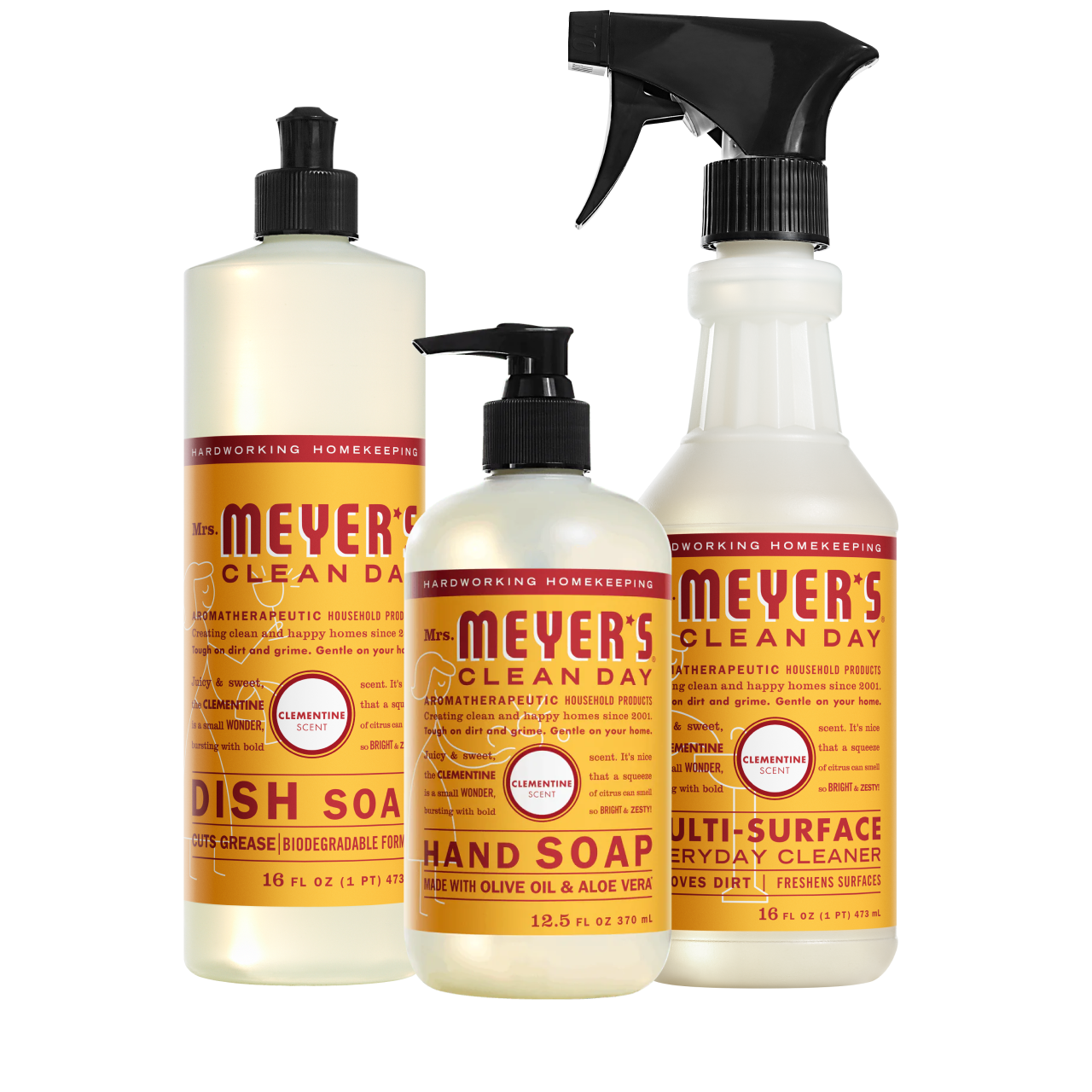 Clementine Kitchen Basics Set - with Everyday Cleansing