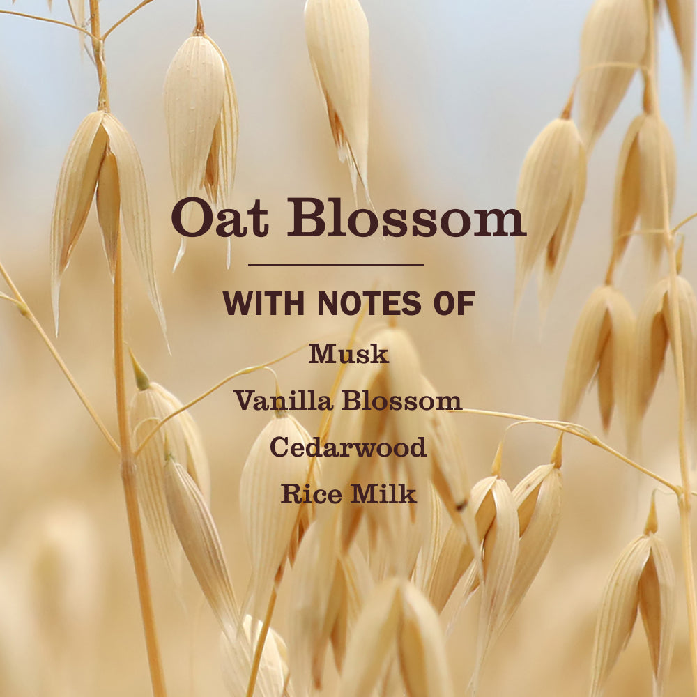 Oat Blossom Liquid Hand Soap and Refill Set - with Everyday Cleansing