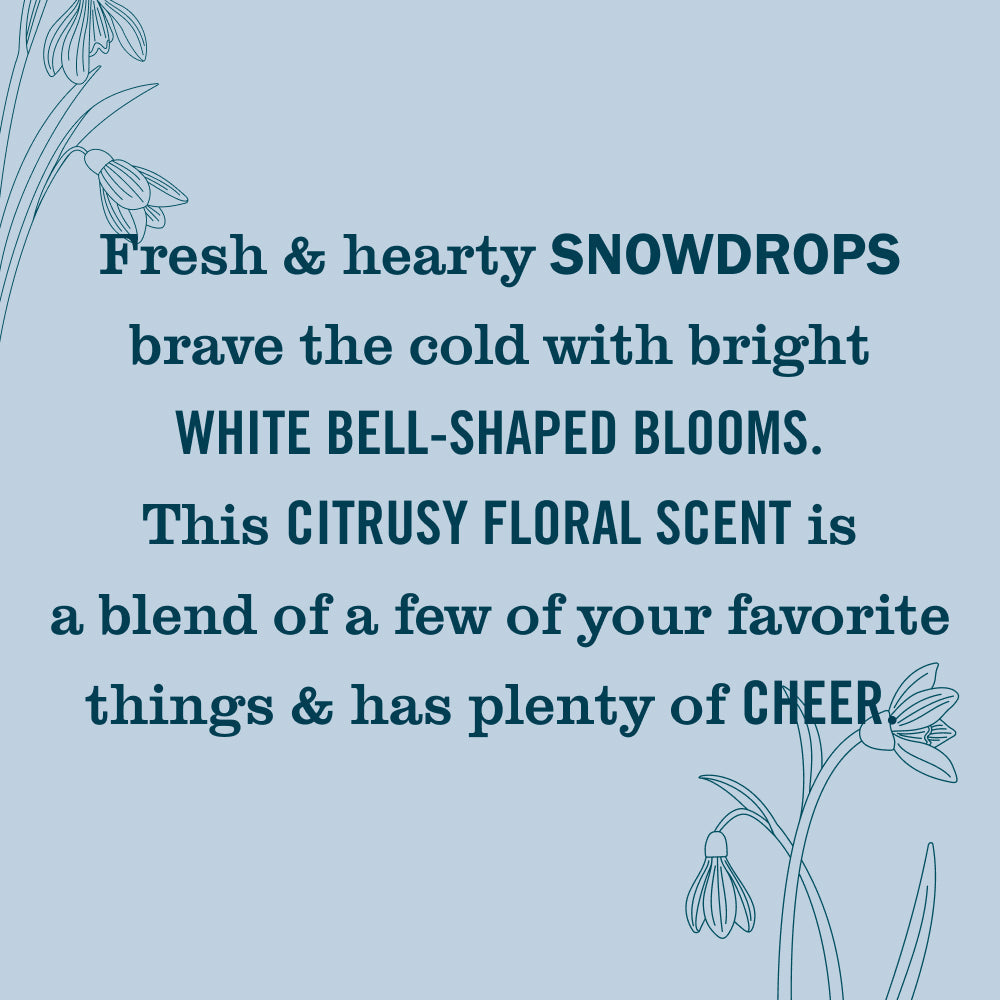 Snowdrop Essentials 5 - Count Bundle - with Everyday Cleansing