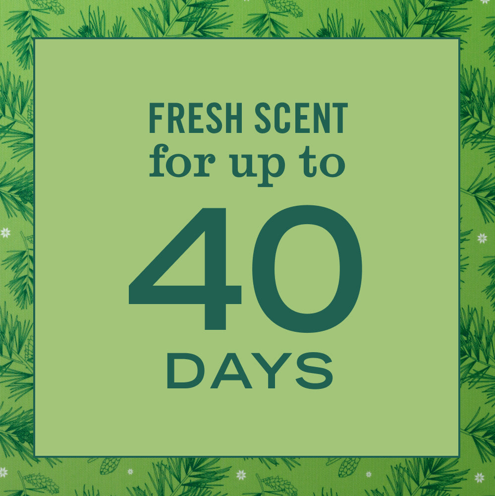 Iowa Pine Plug In Scented Oil Refill 2 - Pack - with Garden-Inspired Scent