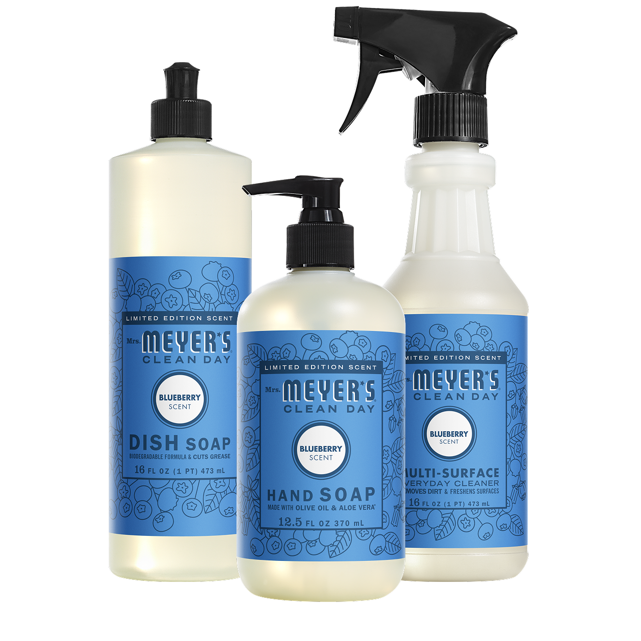 Blueberry Kitchen Basics Set - with Everyday Cleansing