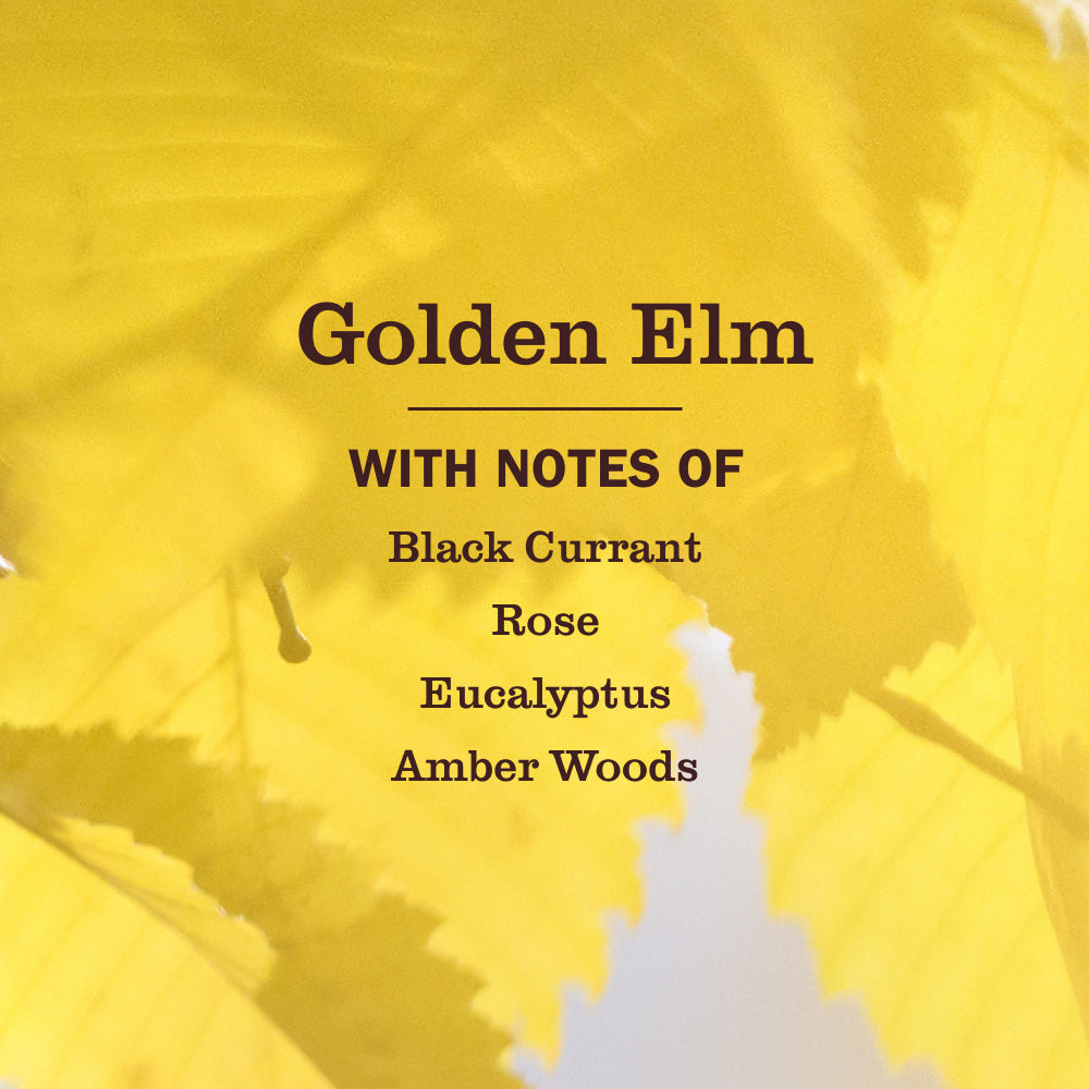 Golden Elm Liquid Hand Soap - with Everyday Cleansing
