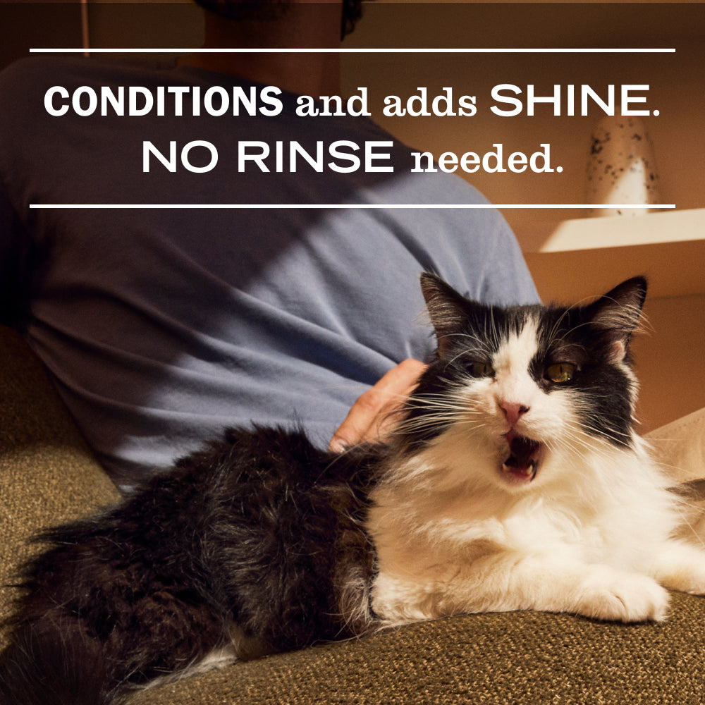Cat Care Set - with Convenient Multi-Product Use