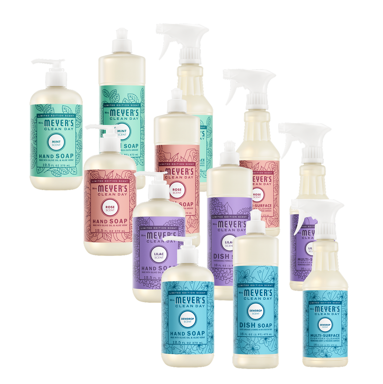 Spring Features Collection - with Everyday Cleansing