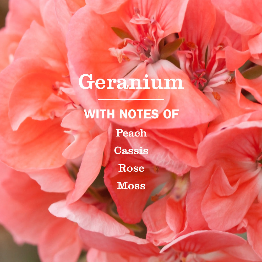 Mrs. Meyers Geranium Multi - Surface Concentrate - with Convenient Concentrated Use