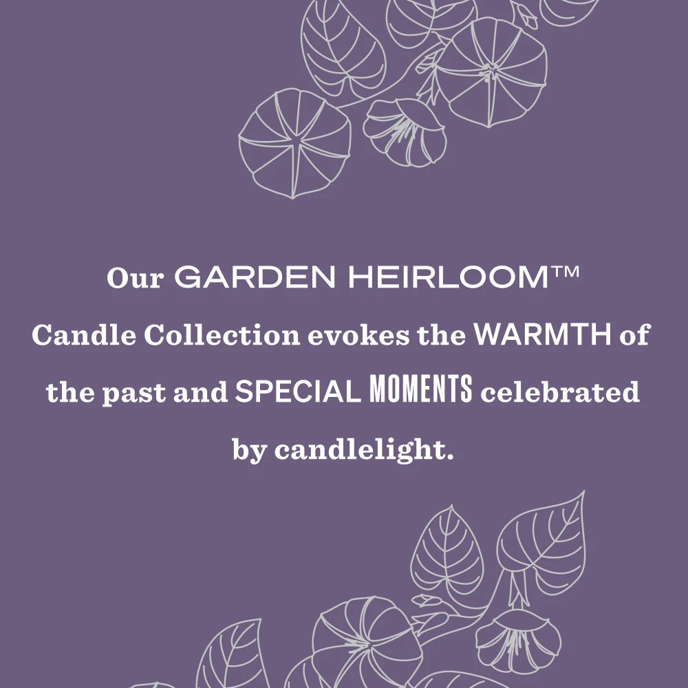 Mrs. Meyers Moonflower Garden Heirloom Candle - with Garden-Inspired Scent