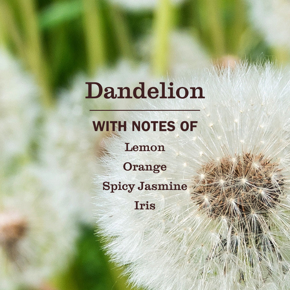 Mrs. Meyers Dandelion Liquid Hand Soap - with Everyday Cleansing