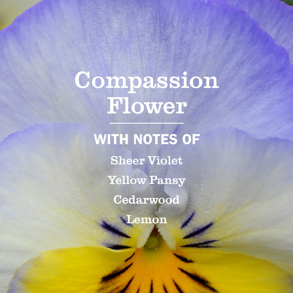 Mrs. Meyers Compassion Flower Kitchen Basics Set - with Everyday Cleansing