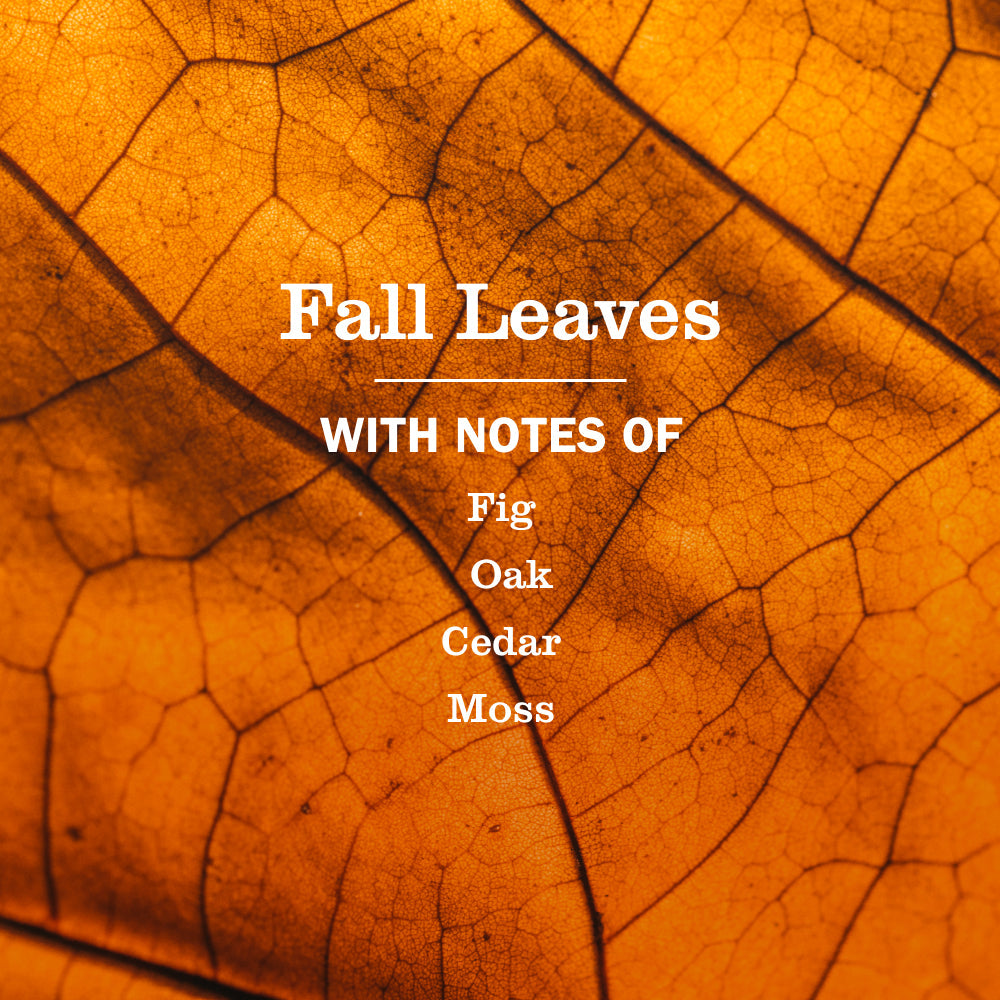 Mrs. Meyers Fall Leaves Multi - Surface Everyday Cleaner 3 - count Bundle - with Convenient Multi-Product Use