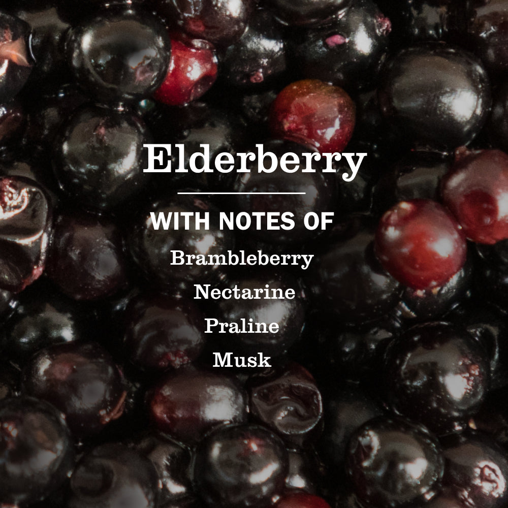 Mrs. Meyers Elderberry Liquid Hand Soap - with Everyday Cleansing