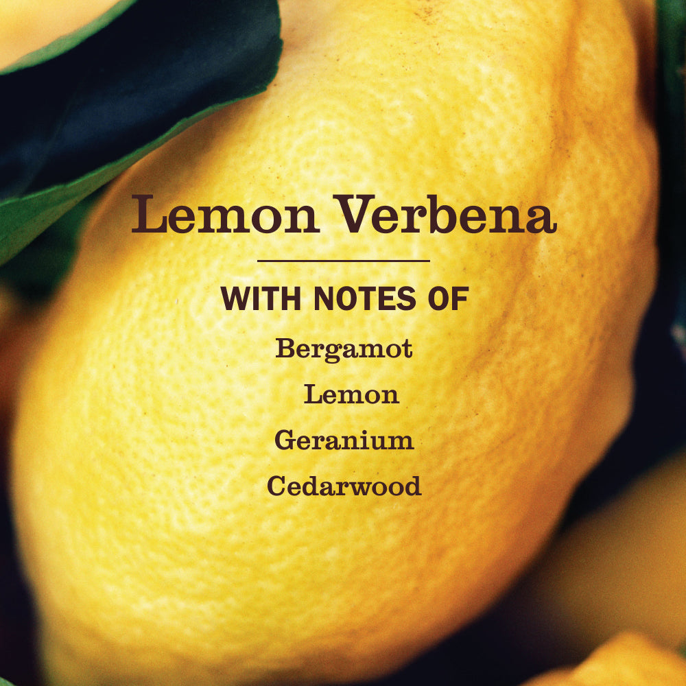 Mrs. Meyers Lemon Verbena Liquid Hand Soap Refill - with Everyday Cleansing