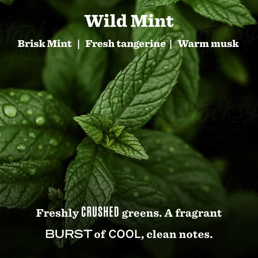 Mrs. Meyers Wild Mint Garden Heirloom Candle - with Garden-Inspired Scent