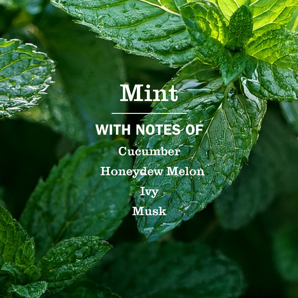 Mrs. Meyers Mint Liquid Hand Soap - with Everyday Cleansing