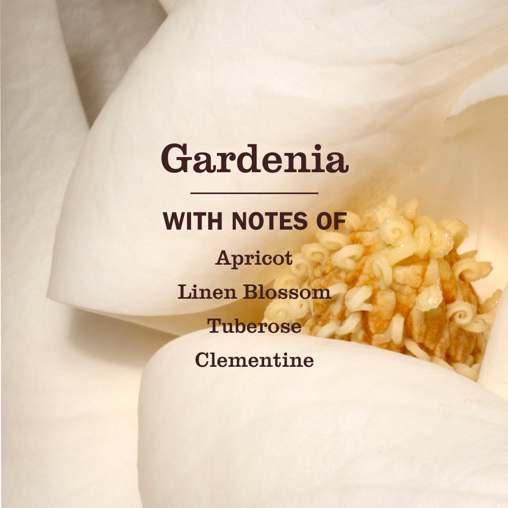 Mrs. Meyers Gardenia Liquid Hand Soap - with Everyday Cleansing