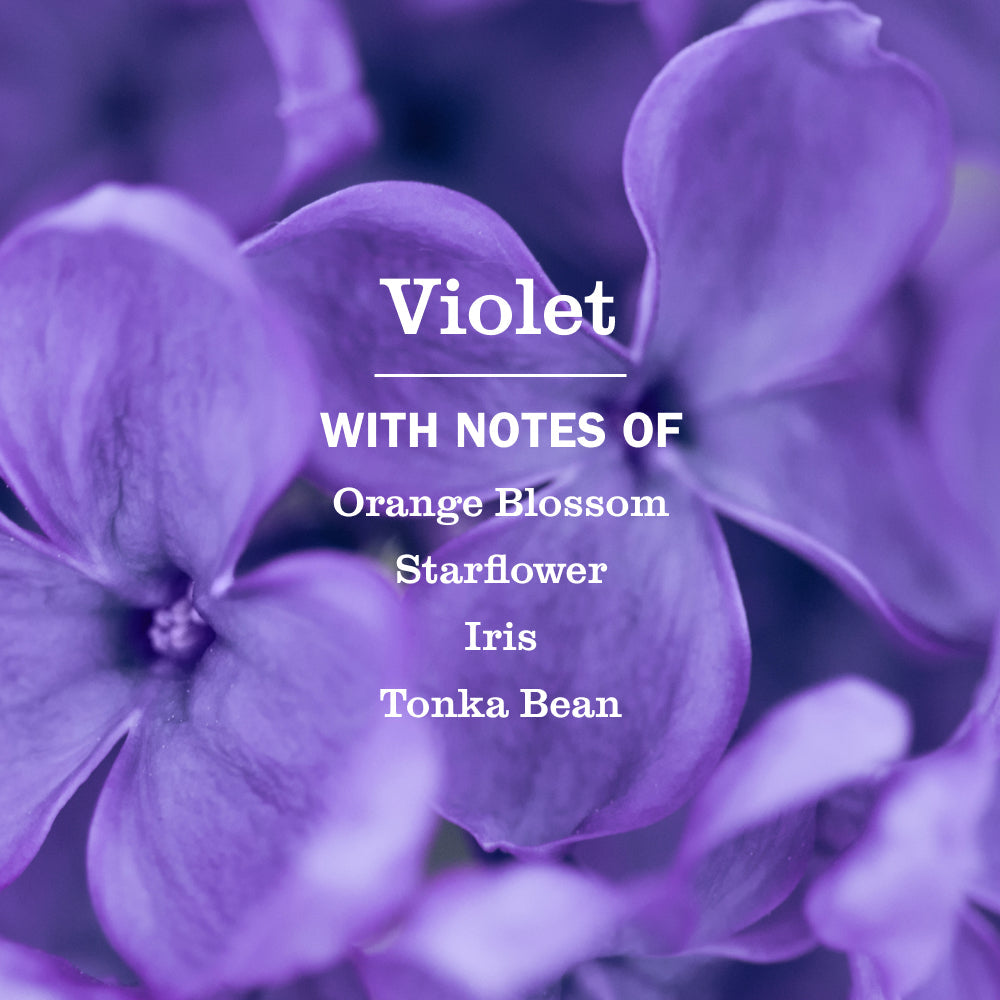 Violet Liquid Hand Soap - with Everyday Cleansing
