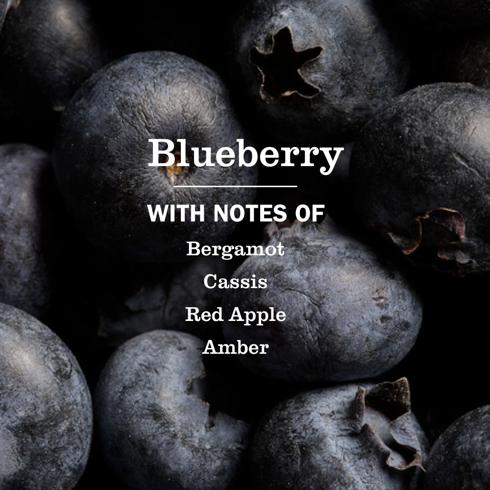 Blueberry Liquid Hand Soap - with Everyday Cleansing