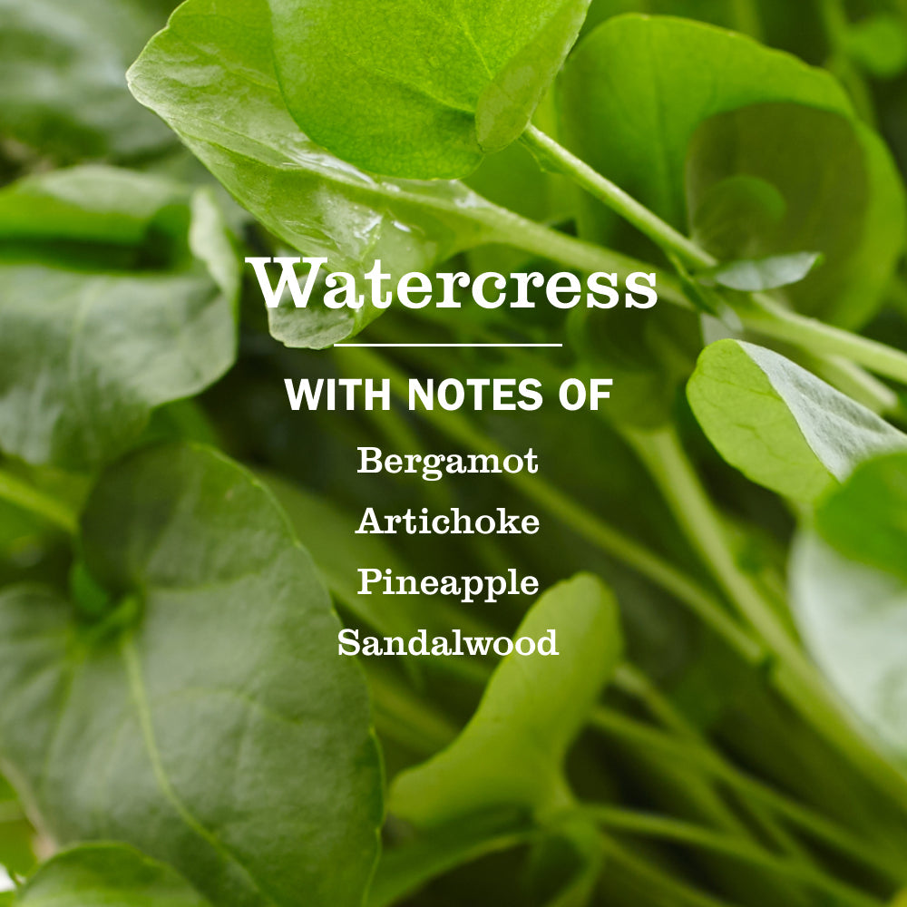 Watercress Liquid Hand Soap - with Everyday Cleansing