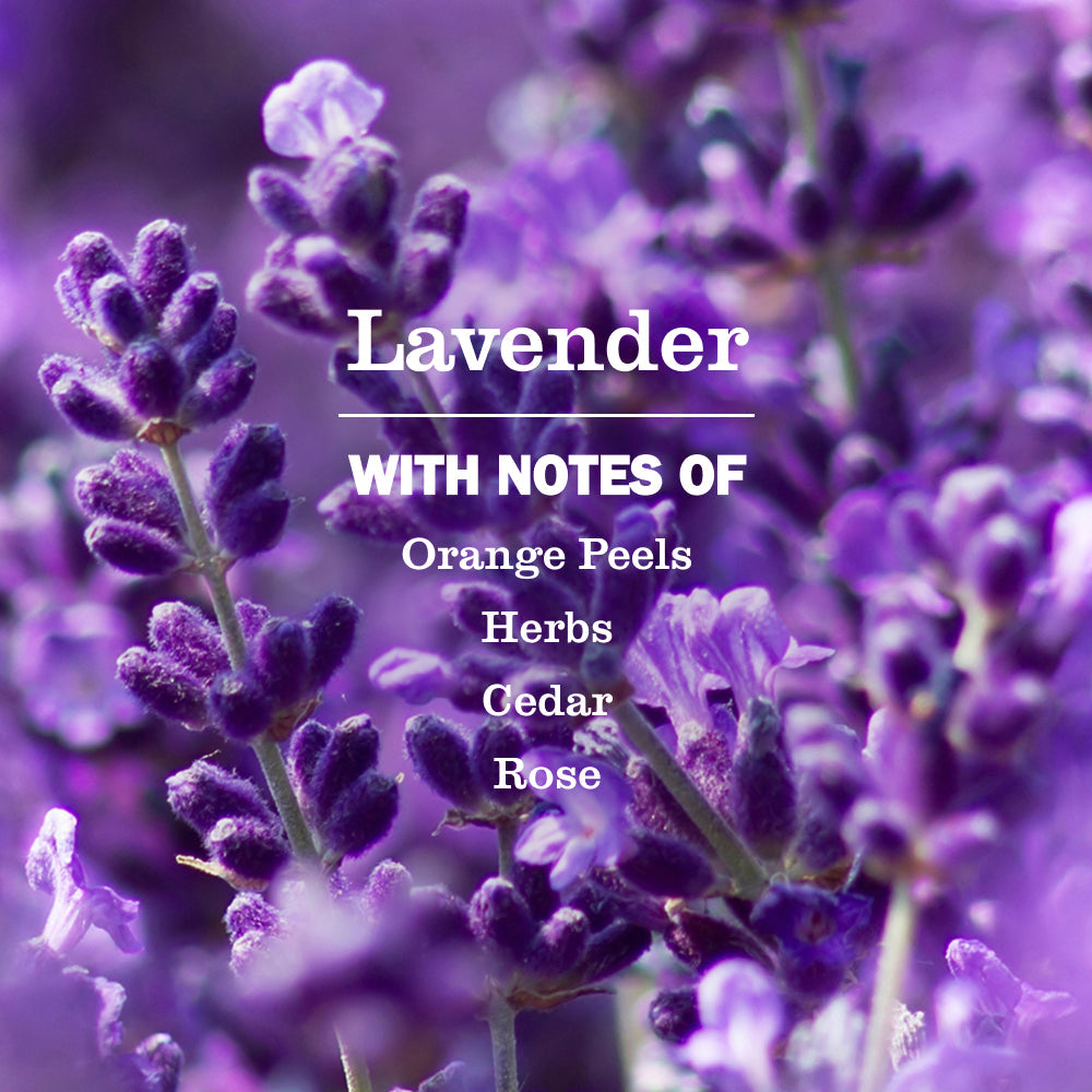Mrs. Meyers Lavender Dish Soap Refill - with Kitchen Cleanup