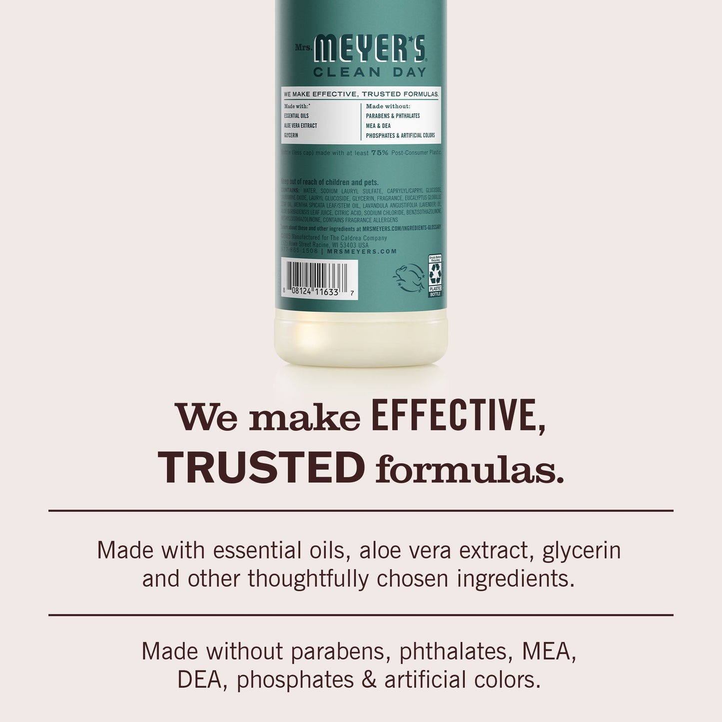 Mrs. Meyers Eucalyptus Dish Soap - with Kitchen Cleanup