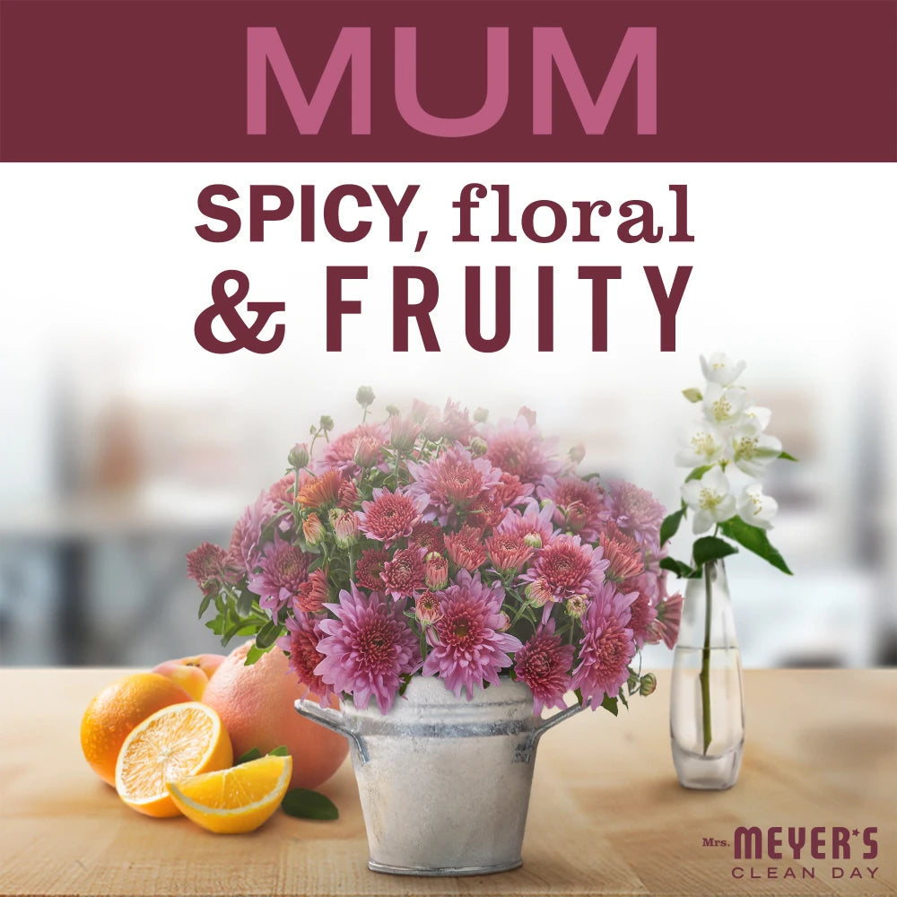 Mum Dish Soap Mrs. Meyers - with Kitchen Cleanup