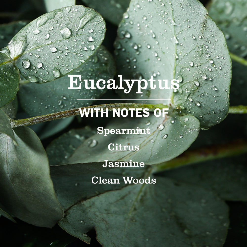 Eucalyptus Multi - Surface Everyday Cleaner Mrs. Meyers - with Everyday Surface Care