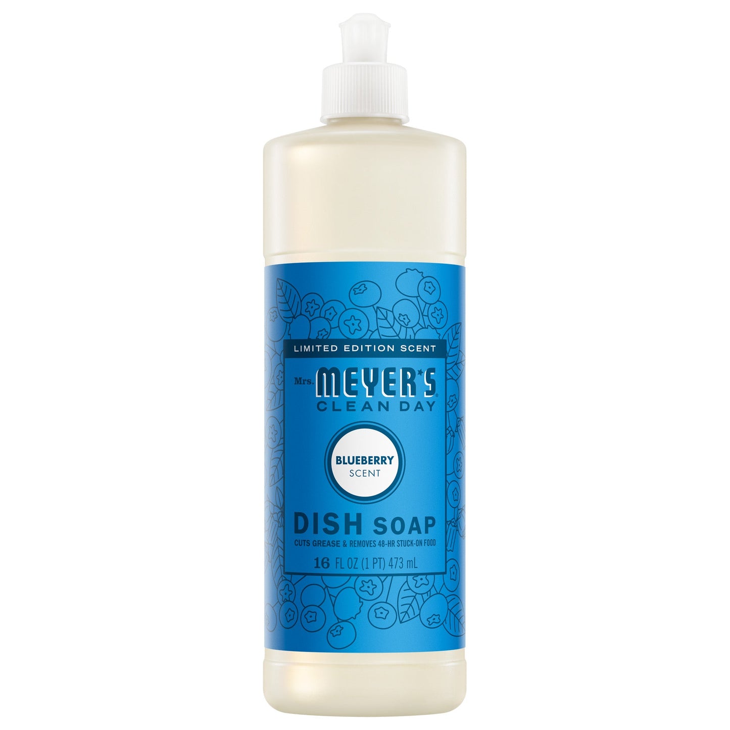 Blueberry Dish Soap - with Kitchen Cleanup