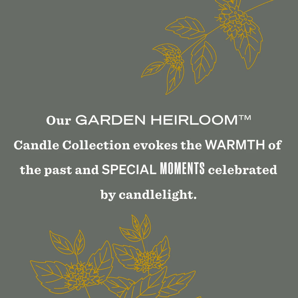 Mrs. Meyers Wild Mint Garden Heirloom Candle - with Garden-Inspired Scent