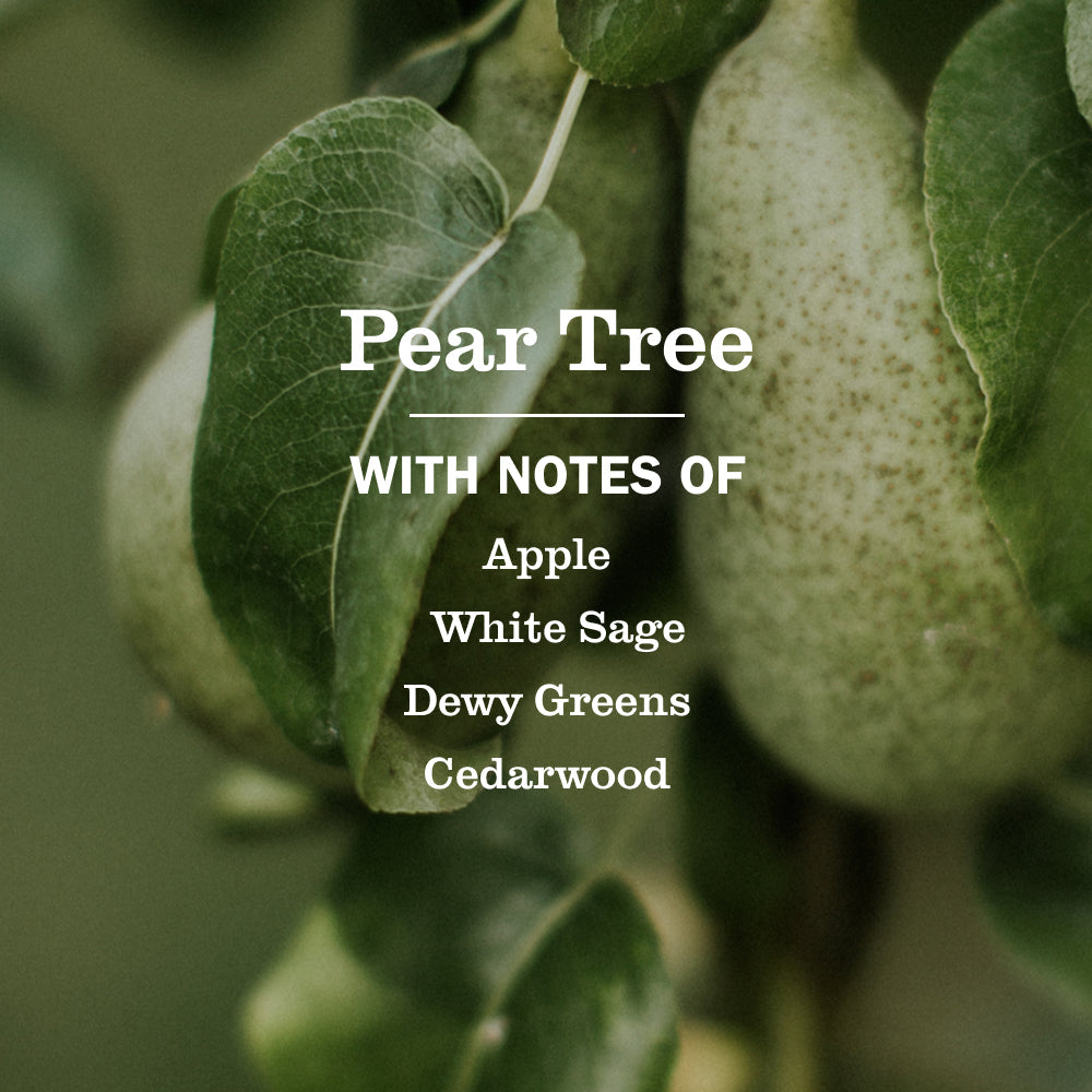Pear Tree Multi - Surface Everyday Cleaner Mrs. Meyers - with Everyday Surface Care