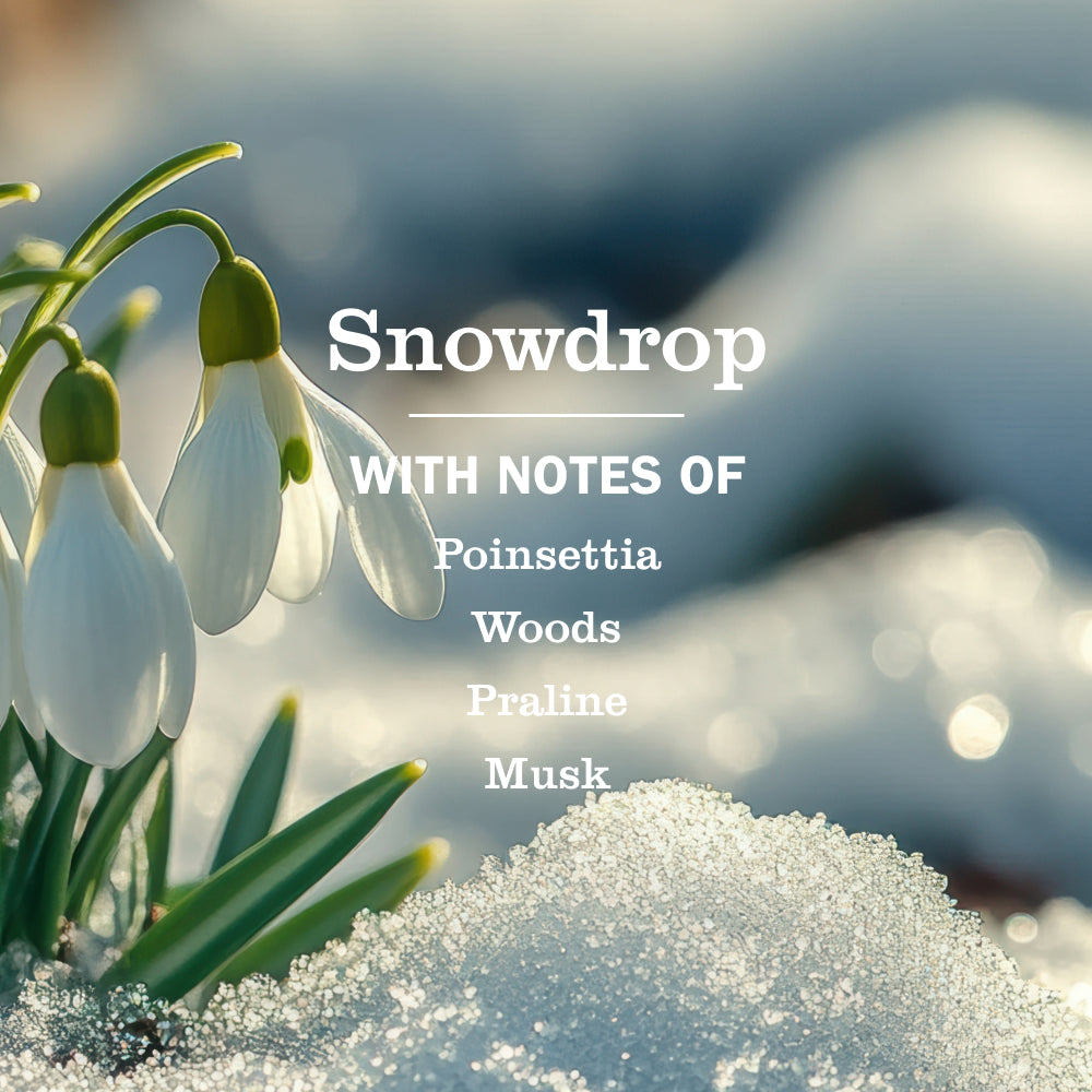 Mrs. Meyers Snowdrop Dish Soap - with Kitchen Cleanup