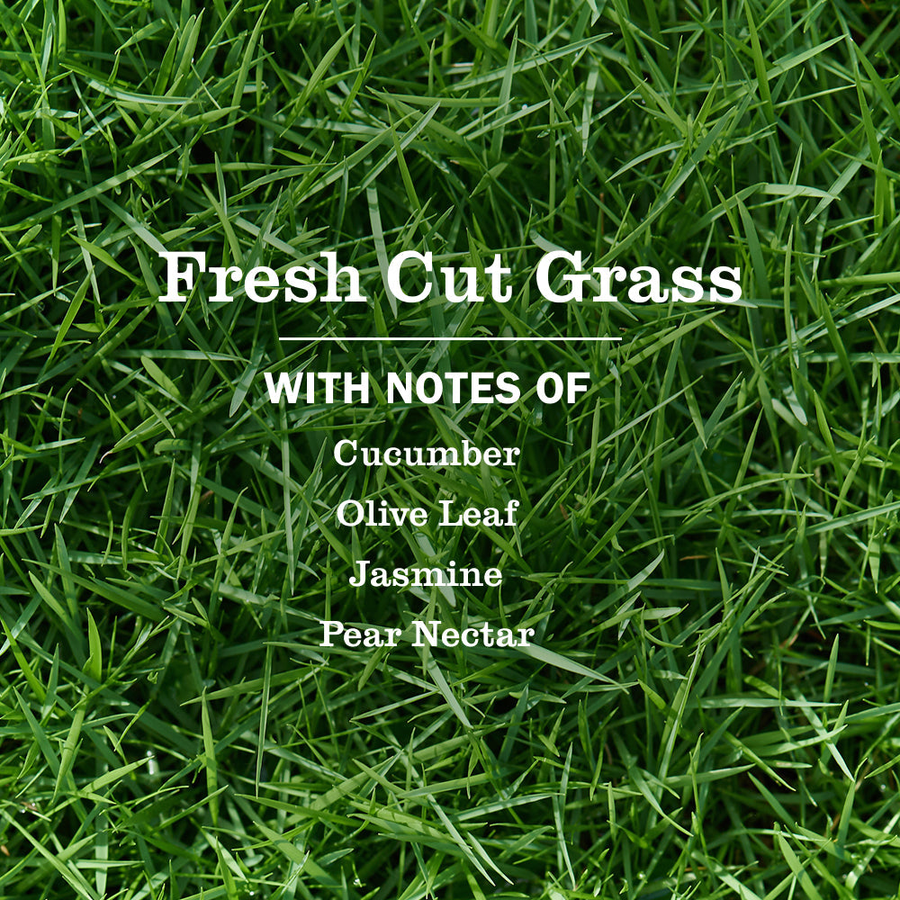Mrs. Meyers Fresh Cut Grass Multi - Surface Everyday Cleaner 3 - count Bundle - with Convenient Multi-Product Use