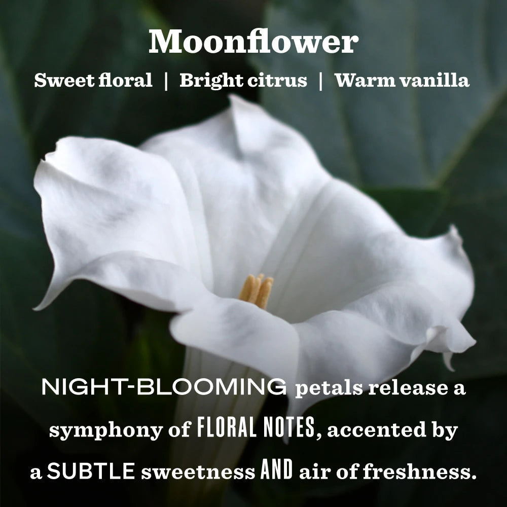 Mrs. Meyers Moonflower Garden Heirloom Candle - with Garden-Inspired Scent