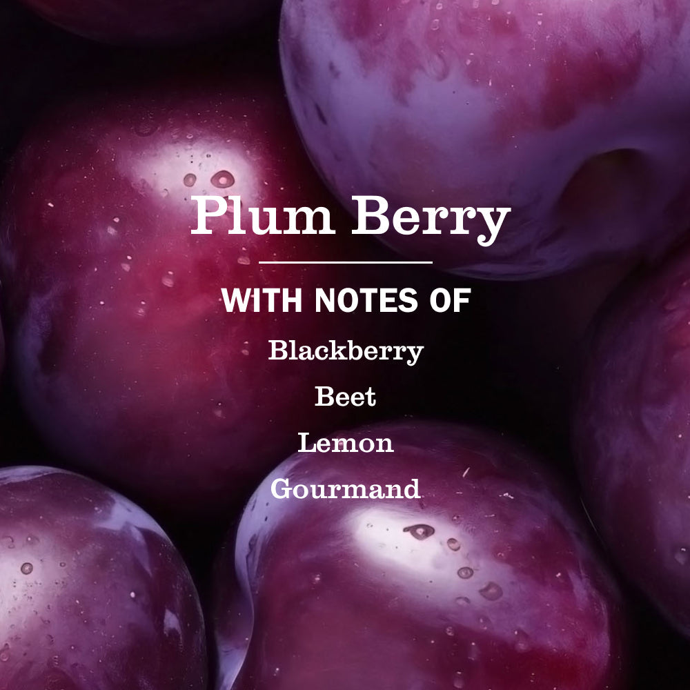 Mrs. Meyers Plum Berry Liquid Hand Soap - with Everyday Cleansing