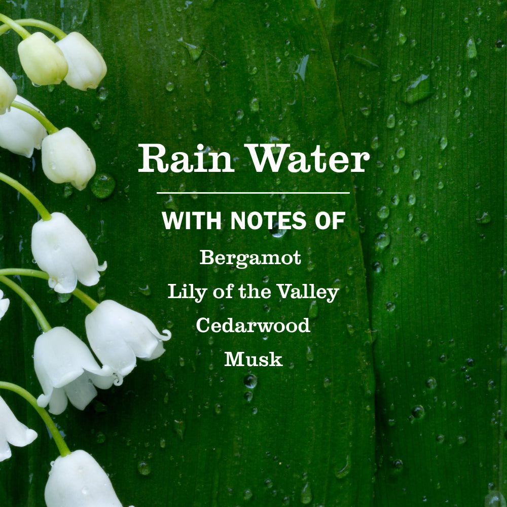 Mrs. Meyers Rain Water Liquid Hand Soap - with Everyday Cleansing