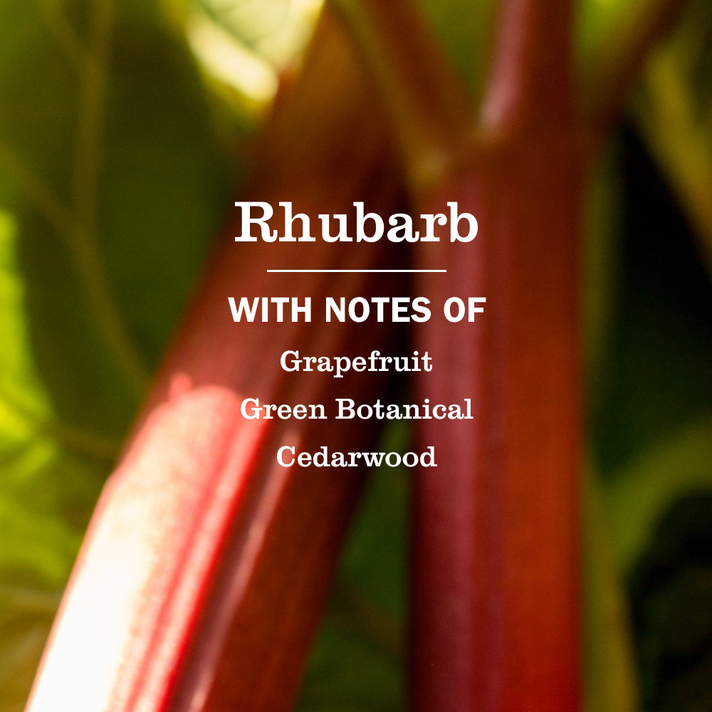 Mrs. Meyers Rhubarb Liquid Hand Soap - with Everyday Cleansing