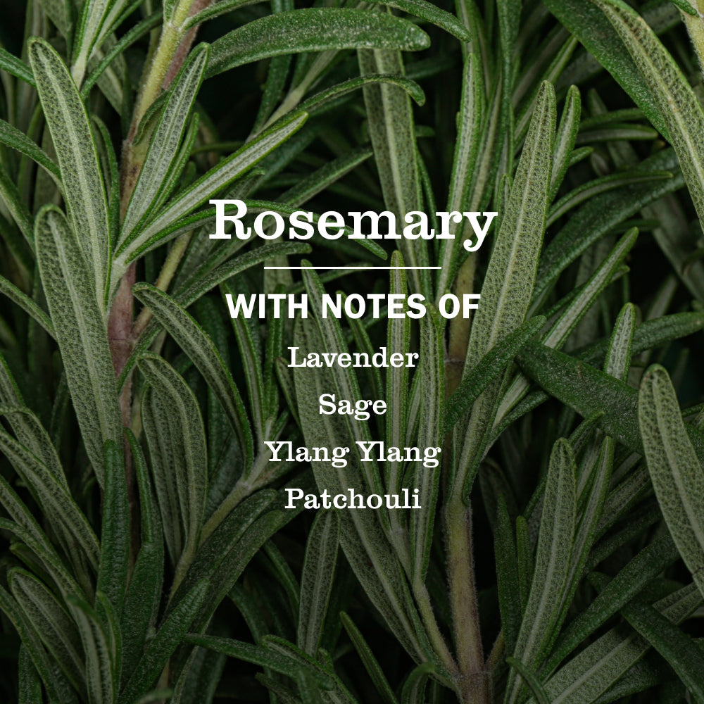 Mrs. Meyers Rosemary Multi - Surface Everyday Cleaner - with Everyday Surface Care